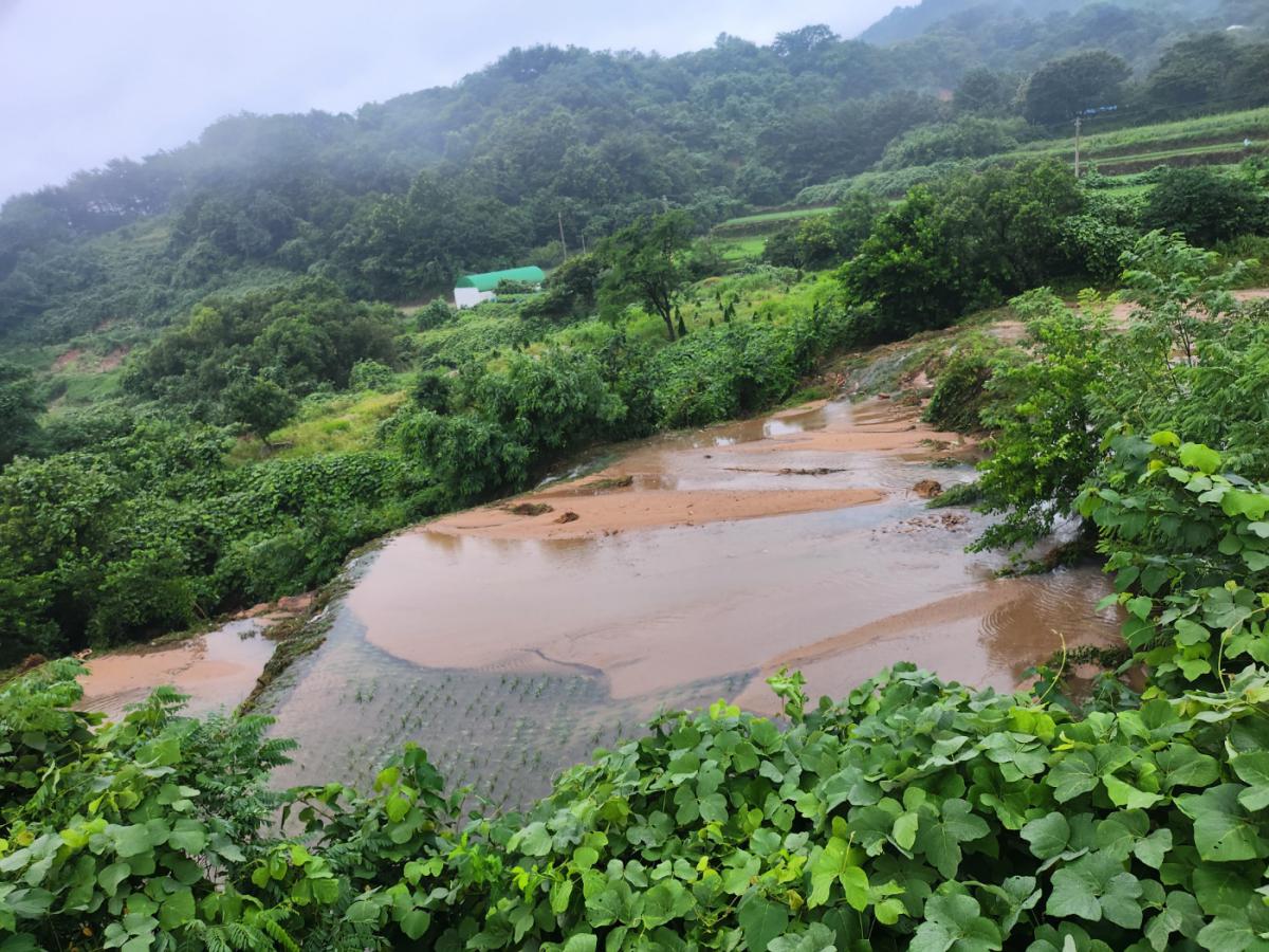 KakaoTalk_20250722_153149582_19.jpg